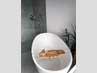 Bäder-Idee mit der freistehenden Badewanne Piemont Medio